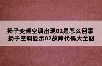 扬子变频空调出现02是怎么回事 扬子空调显示02故障代码大全图